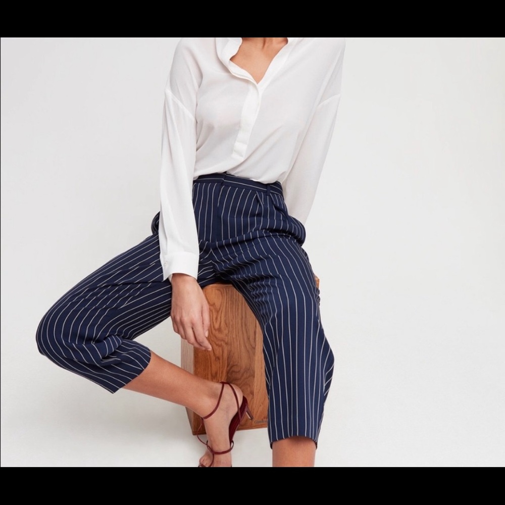Aritzia Babaton Modesto pant